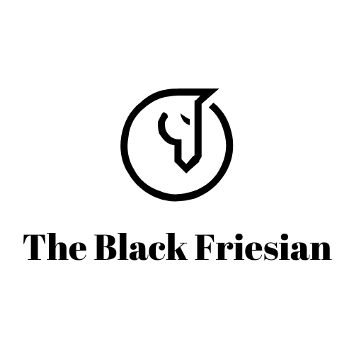 The Black Friesian