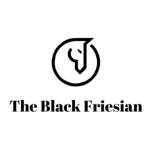  The Black Friesian