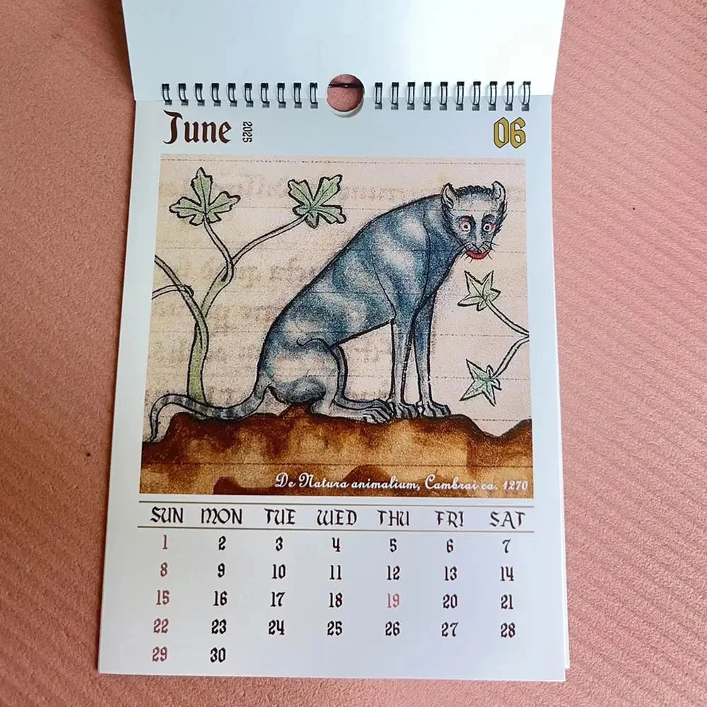 2026 Strange Medieval Cat Wall Calendar - Christmas Gift