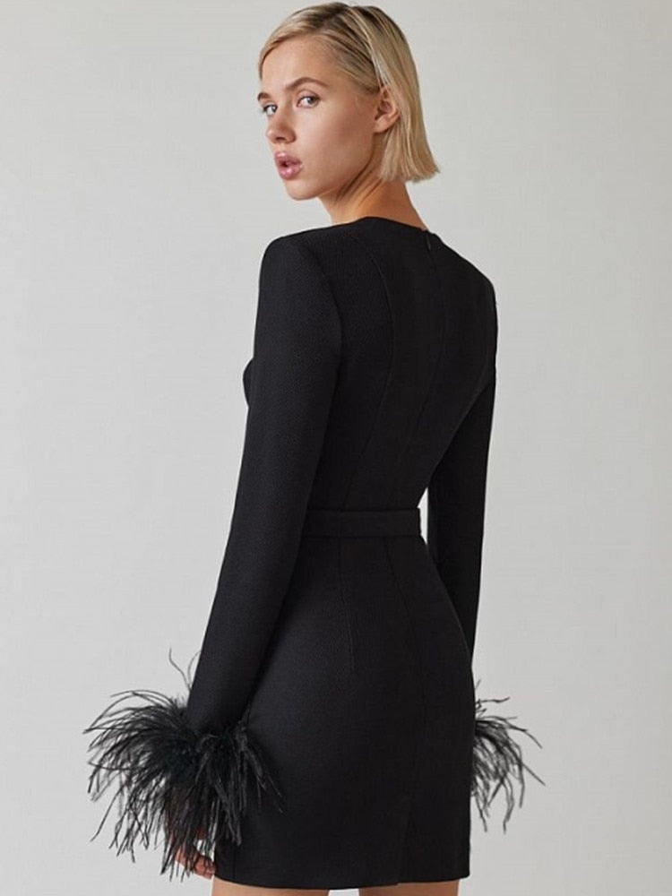 Long Sleeve Feather Bodycon Mini Dress